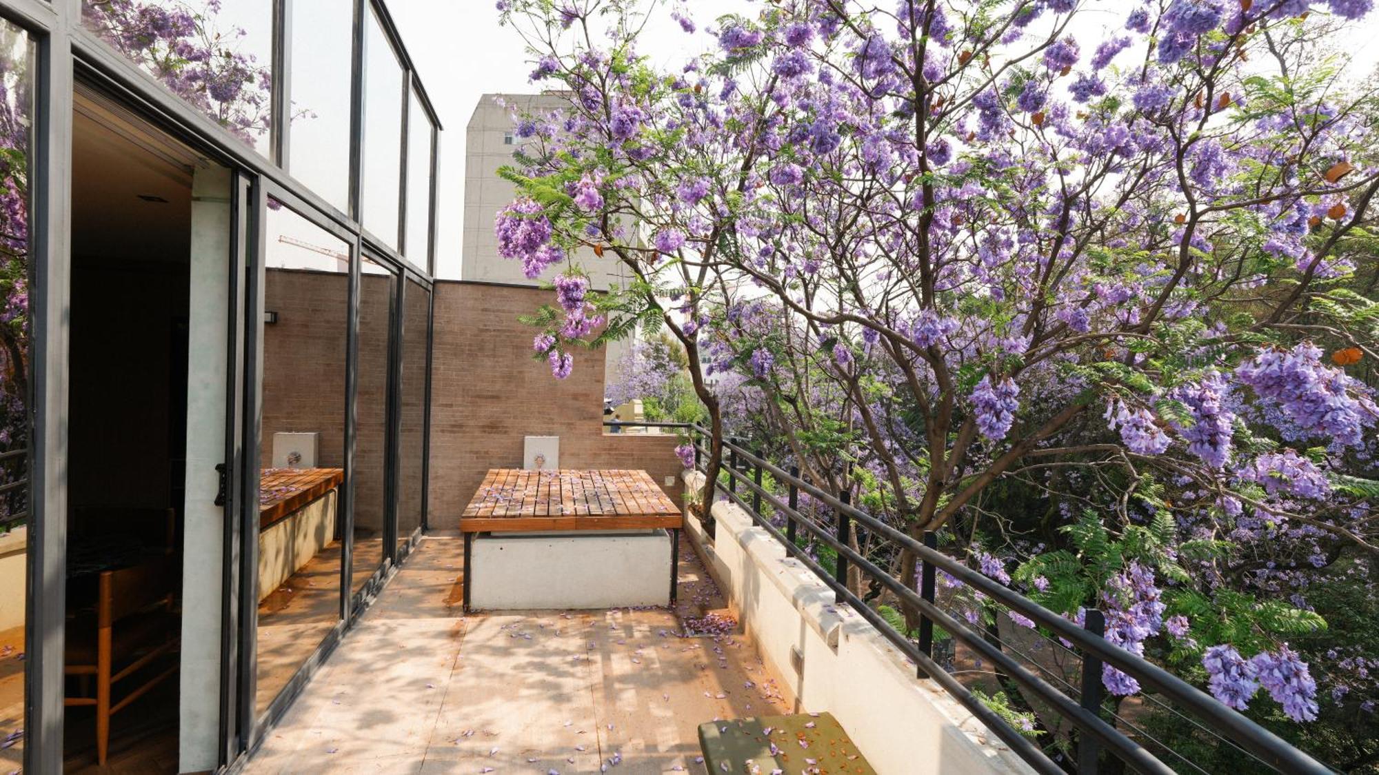 Rodona Hotel Cidade do México Exterior foto